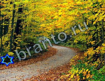 ответы на игру Найди животных Уровень 2386