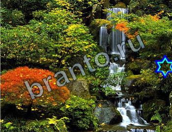 Найди животных Ответы Уровень 2389