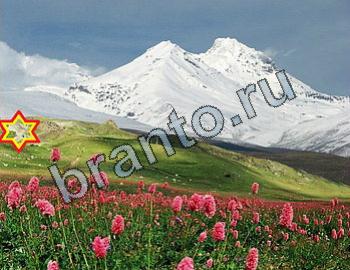 ответы на игру Найди животных Уровень 2390