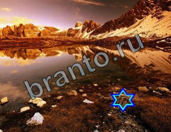 Найди животных подсказки Уровень 2391