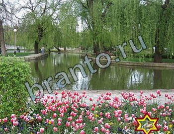 ответы на игру Найди животных Уровень 2396