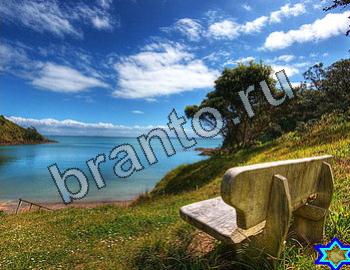 подсказки на игру Найди животных Уровень 2397