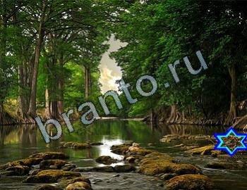 помощь на игру Найди животных Уровень 2399