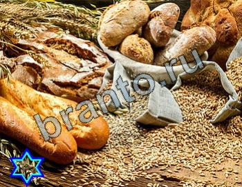 ответы на игру Найди животных в контакте Уровень 2400