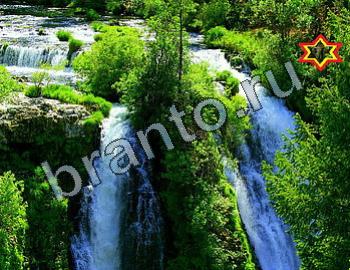 Найди животных игра ответы Уровень 2401