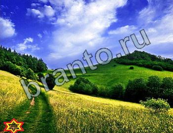 ответы на игру Найди животных Уровень 2402