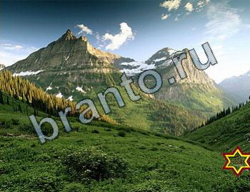 Найди животных решебник Уровень 2405