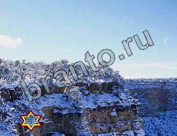 ответы на игру Найди животных Уровень 2409