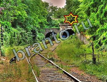 ответы на игру Найди животных Уровень 2413