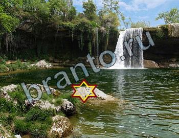 ответы на игру Найди животных Уровень 2414