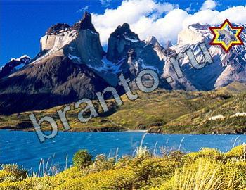 ответы на игру Найди животных Уровень 2415