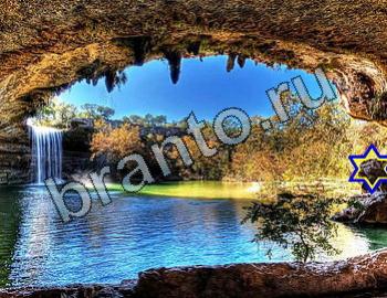 ответы на игру Найди животных Уровень 2417