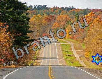 ответы на игру Найди животных Уровень 2420