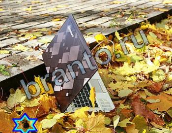 ответы на игру Найди животных Уровень 2423