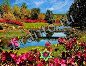 ответы на игру Найди животных Уровень 2425