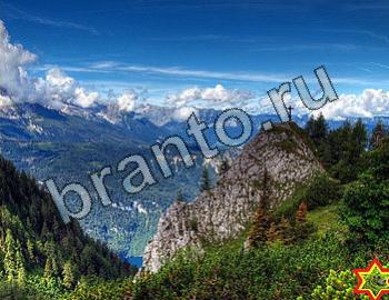 ответы на игру Найди животных Уровень 2426