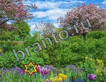 ответы на игру Найди животных Уровень 2430