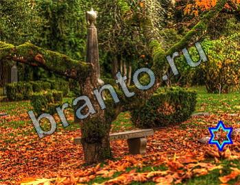 ответы на игру Найди животных Уровень 2432