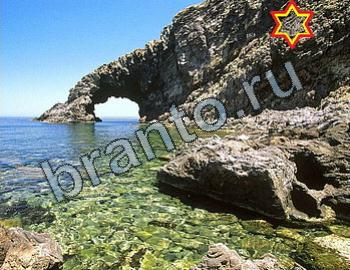 ответы на игру Найди животных Уровень 2434