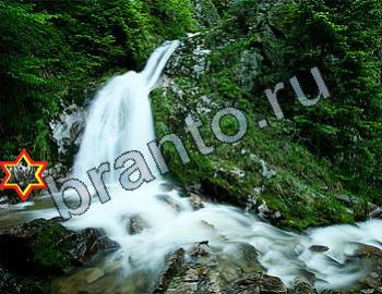 ответы на игру Найди животных Уровень 2436