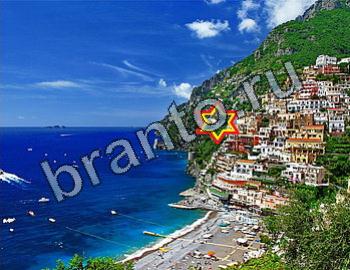 Найди животных Уровень 2437