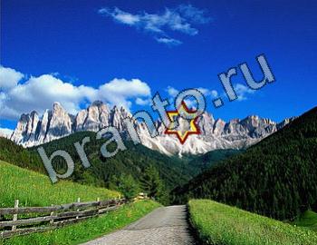 ответы на игру Найди животных Уровень 2438