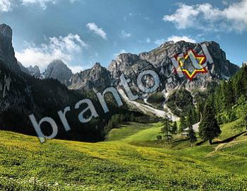 ответы бесплатно игра Найди животных Уровень 2440