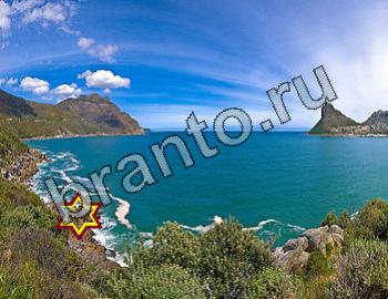 ответы на игру Найди животных Уровень 2442