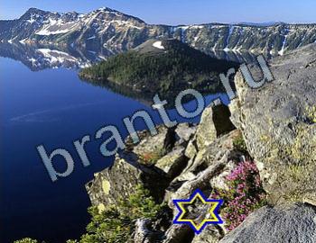 подсказки Найди животных Уровень 2444