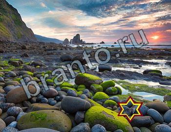 ответы на игру Найди животное Уровень 2445