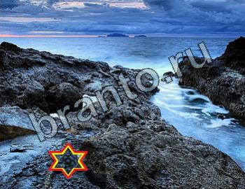 сборник ответов к игре Найди животных Уровень 2446