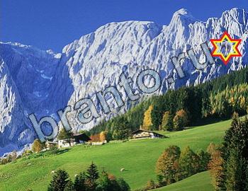 подсказки на игру Найди животных Уровень 2447