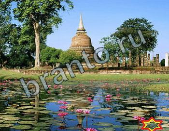 ответы на игру Найди животных одноклассники Уровень 2448