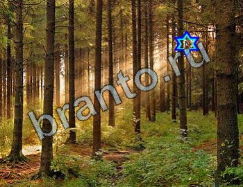 помощь на игру Найди животных Уровень 2449