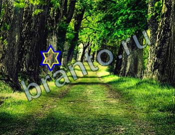 ответы на игру Найди животных в контакте Уровень 2450