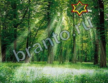 Найди животных игра ответы Уровень 2451