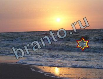 ответы на игру Найди животных Уровень 2452