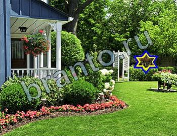 подсказки к игре Найди животных Уровень 2453