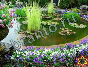 ответы на игру Найди животных Уровень 2454