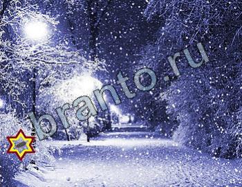 Найди животных решебник Уровень 2455