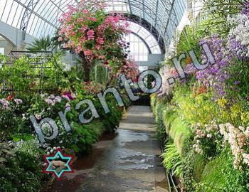 ответы на игру Найди животных Уровень 2456