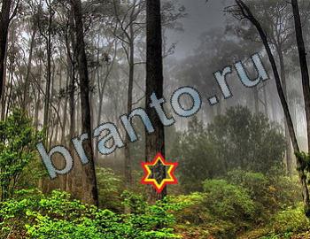 ответы на игру Найди животных Уровень 2457