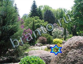 Найди животных подсказки в одноклассниках Уровень 2458