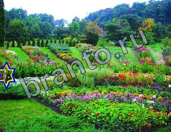 Игра Найди животных ответы Уровень 2460