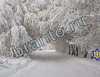 ответы на игру Найди животных Уровень 2463