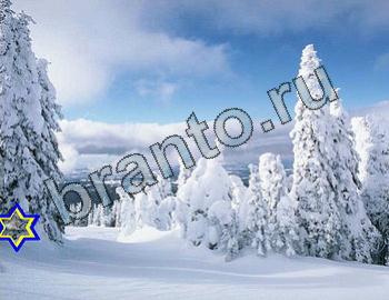 ответы на игру Найди животных Уровень 2464