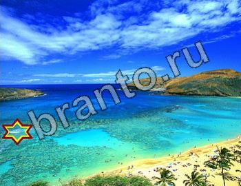 ответы на игру Найди животных Уровень 2465