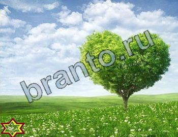 ответы на игру Найди животных Уровень 2466