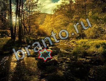 ответы на игру Найди животных Уровень 2467