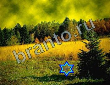 ответы на игру Найди животных Уровень 2468